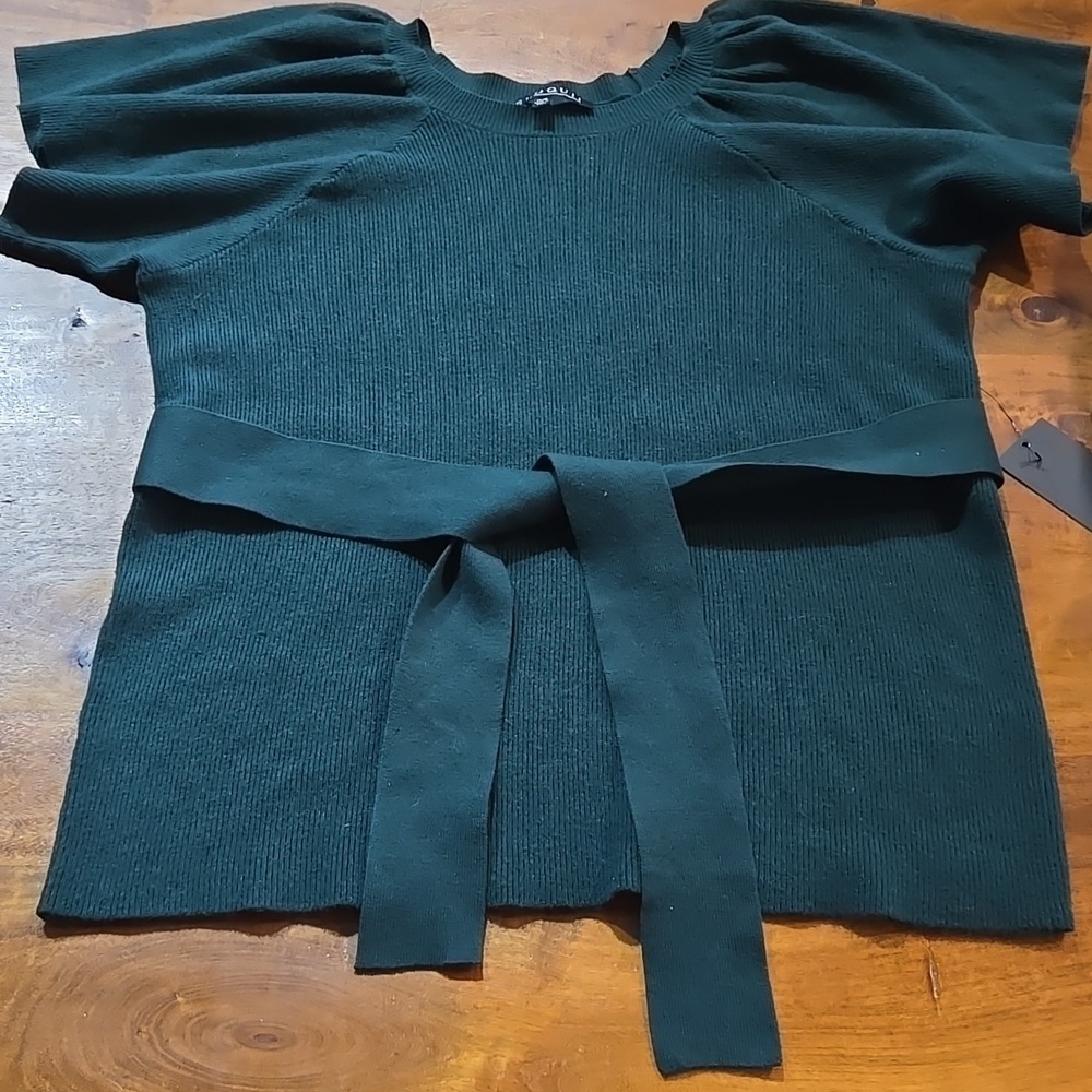 NWT Eloquii Forest Green Sweater 1X